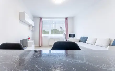 Prodej bytu 1+kk 27 m², Štúrova, Praha 4