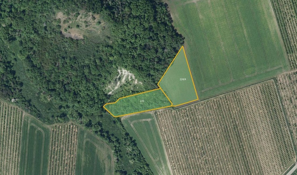 Prodej pole 112 454 m², Želkovice – náhled fotky 3