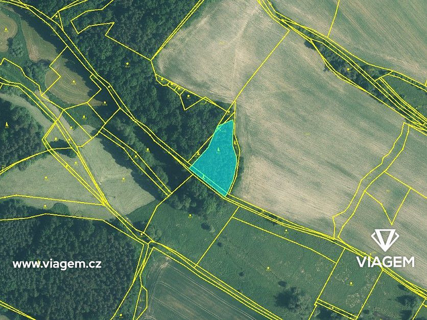 Prodej lesa 2 059 m² – fotografie 4