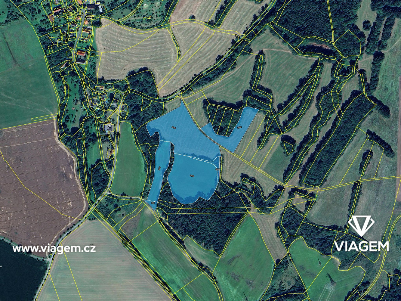 Prodej pole 3 836 m² – fotografie 4