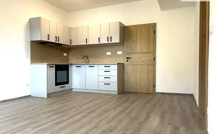 Pronájem bytu 3+kk 61 m², Plovární, Plzeň - Jižní Předměstí