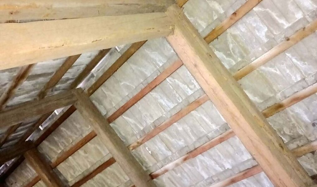 Prodej domu 455 m² s pozemkem 1 055 m², Zálší – náhled fotky 21