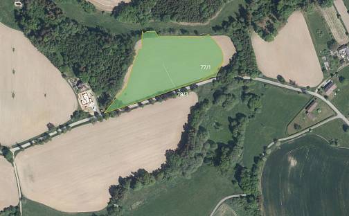 Prodej louky 14 886 m², Krásná Hora - Volichov, okres Havlíčkův Brod