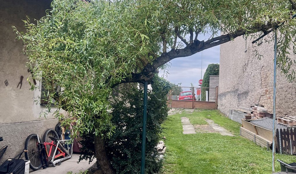 Prodej domu 90 m² s pozemkem 342 m², Rosice – náhled fotky 7