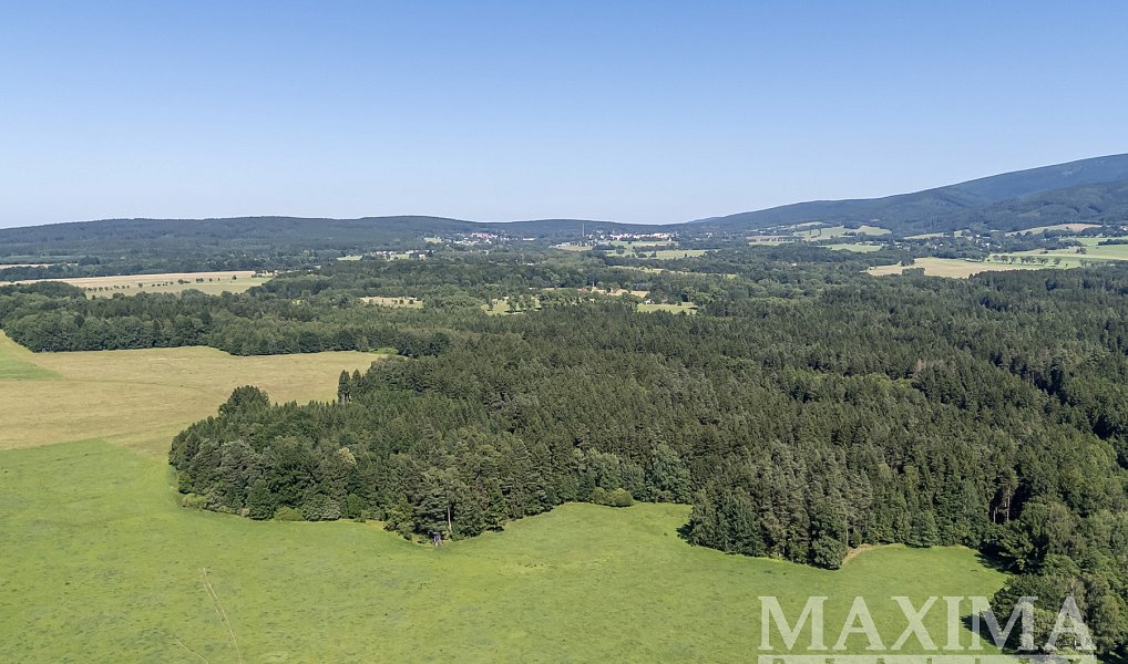 Prodej pozemku 6 397 m², Krásný Les – náhled fotky 6