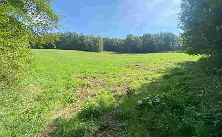 Dražba louky 10 593 m², Sobotín