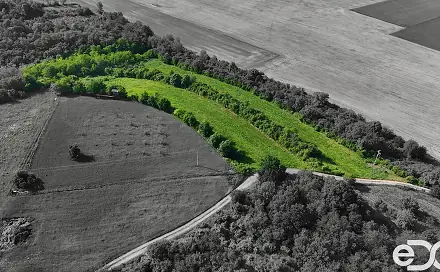 Prodej pozemku 14 560 m², Bechlín, okres Litoměřice