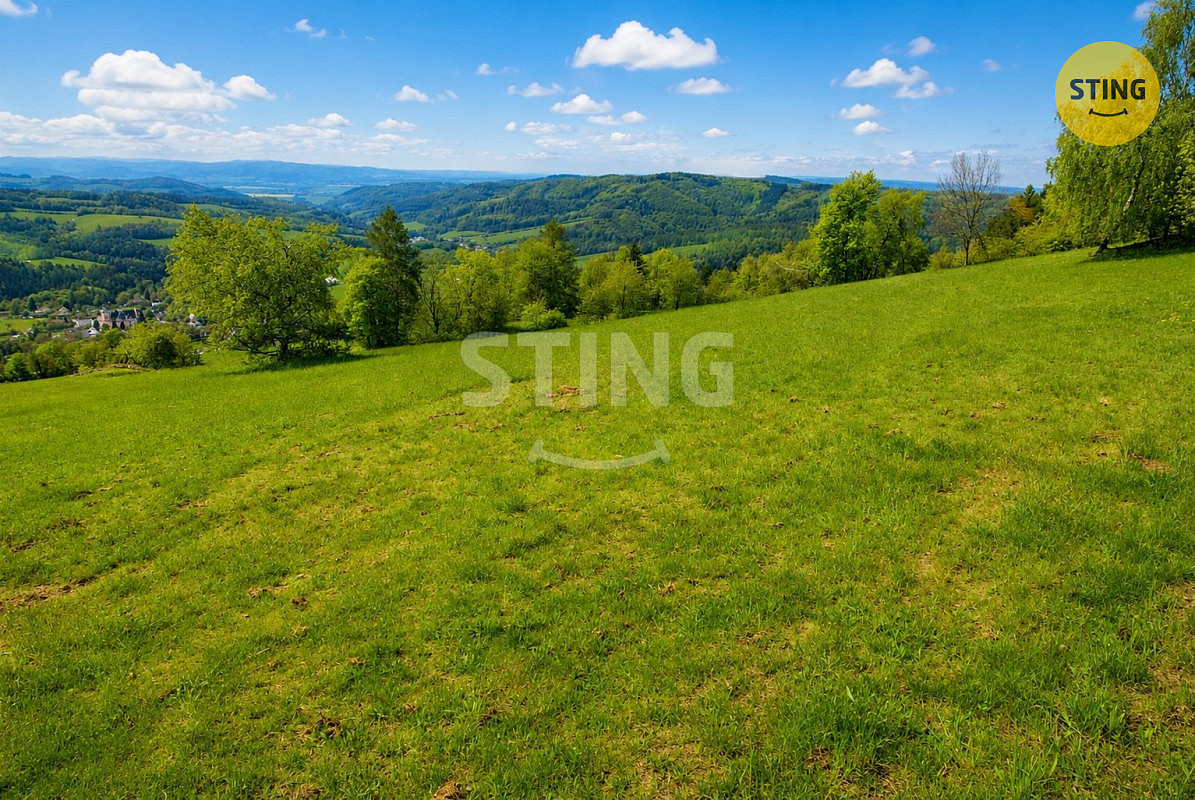 Prodej lesa 18 548 m² – fotografie 3