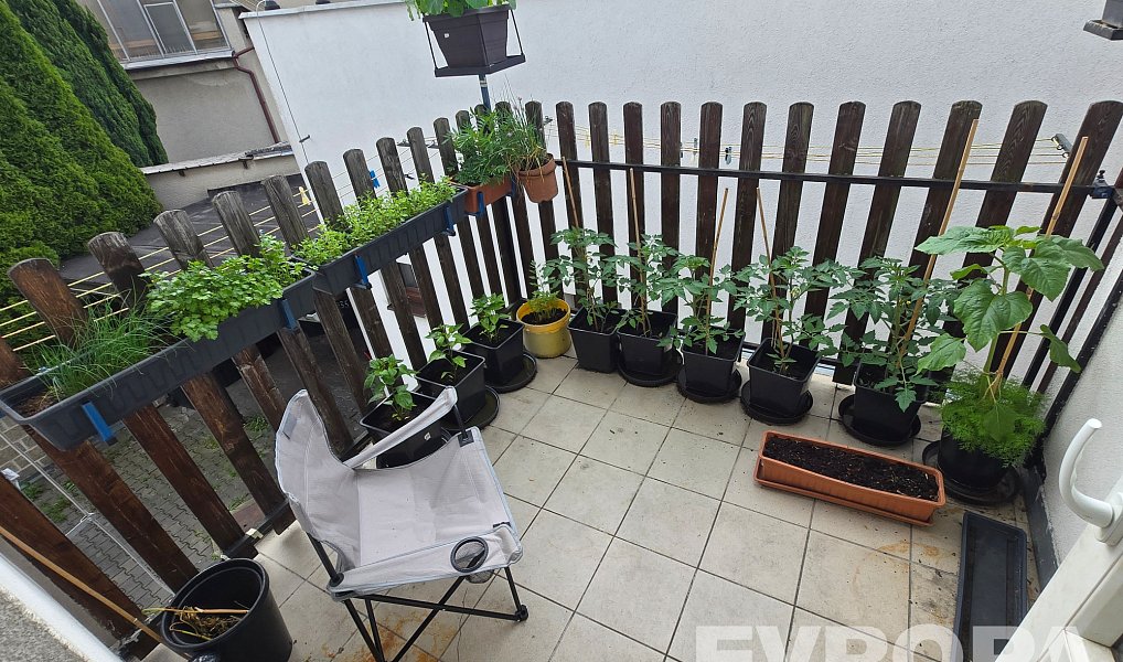 Prodej domu 368 m² s pozemkem 608 m², Havlíčkův Brod – náhled fotky 8