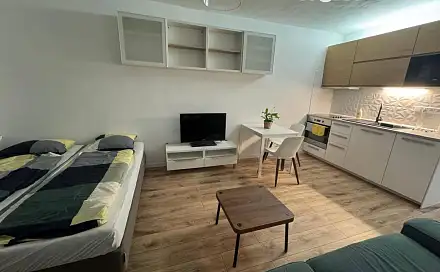 Pronájem bytu 1+kk 29 m²