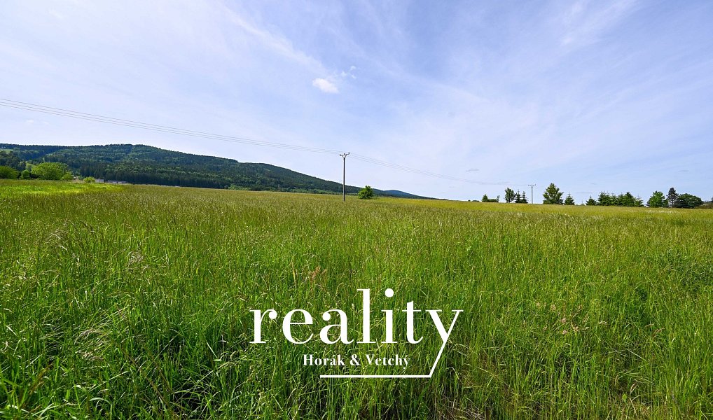Prodej stavebního pozemku 3 948 m², Červená Voda – náhled fotky 24