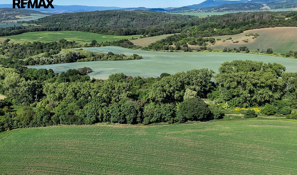 Prodej lesa 5 841 m², Skršín – náhled fotky 19