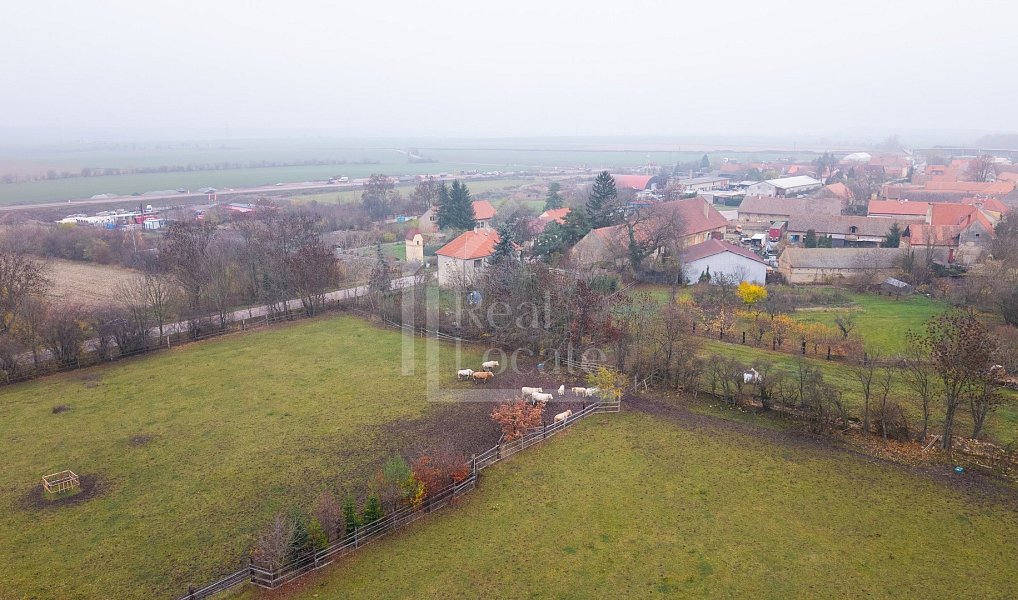 Prodej pozemku 161 602 m², Třebíz – náhled fotky 45