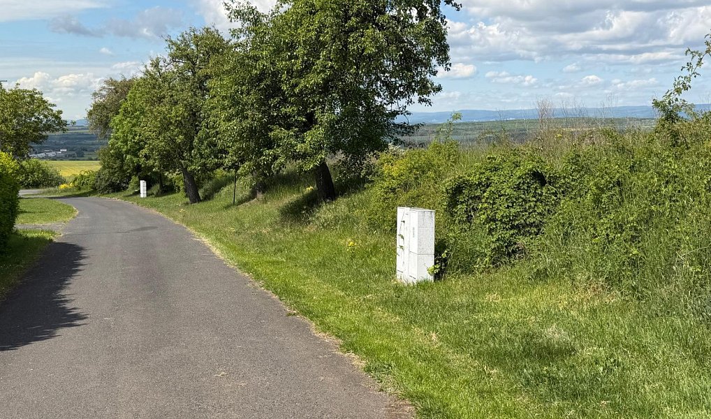 Prodej stavebního pozemku 902 m², Skršín – náhled fotky 6