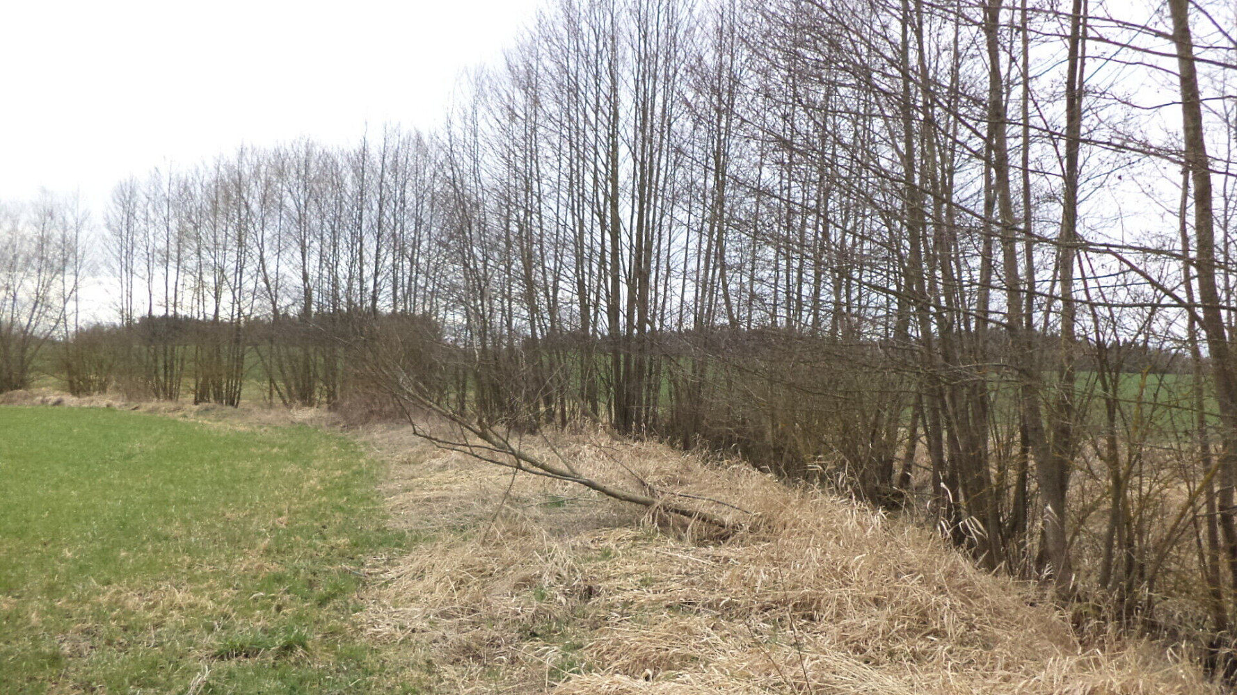 Prodej pole 11 340 m² – fotografie 3