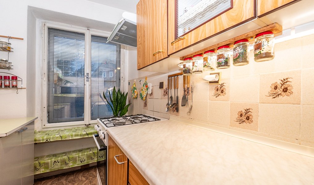 Prodej domu 380 m², Kořenec – náhled fotky 6