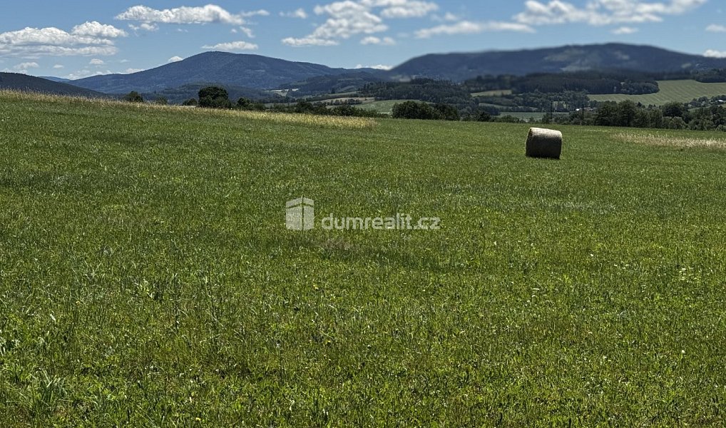Prodej komerčního pozemku 4 522 m², Vlachovo Březí – náhled fotky 7