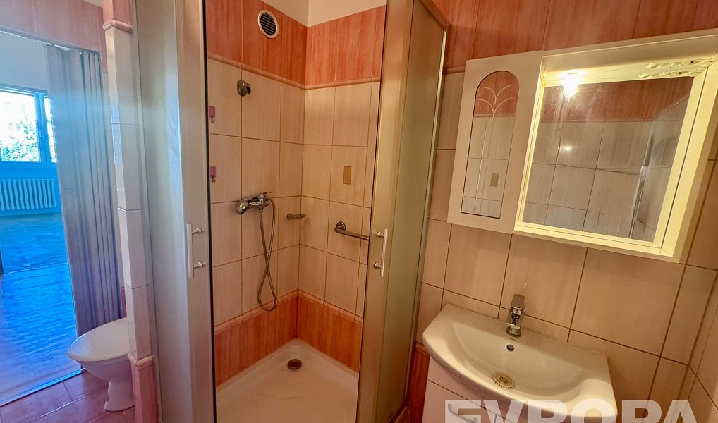 Prodej bytu 3+1 65 m², Plzeň – náhled fotky 13
