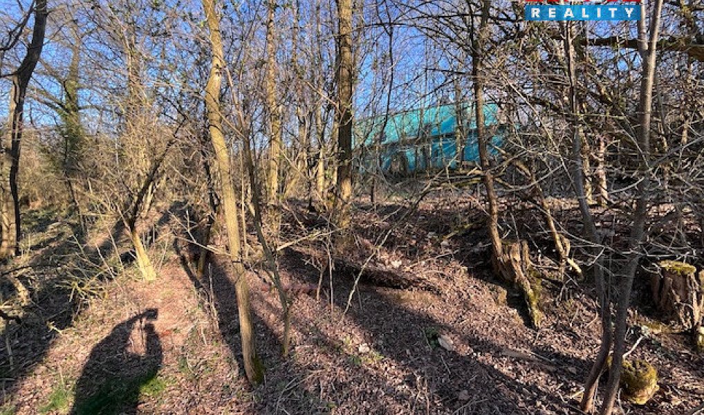 Prodej stavebního pozemku 3 136 m², Škvorec – náhled fotky 11