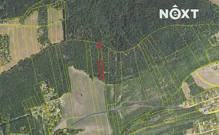 Prodej lesa 3 149 m², Chrustenice