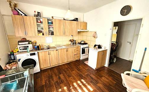 Pronájem bytu 2+1 55 m², Josefa Skupy, Most