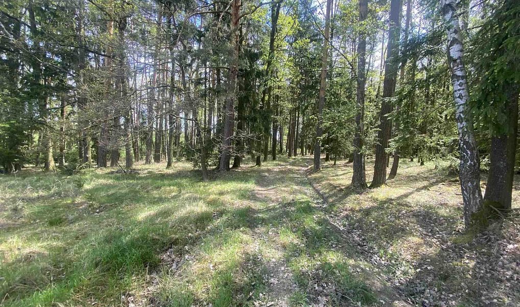 Prodej pole 5 875 m², Malovice – náhled fotky 4