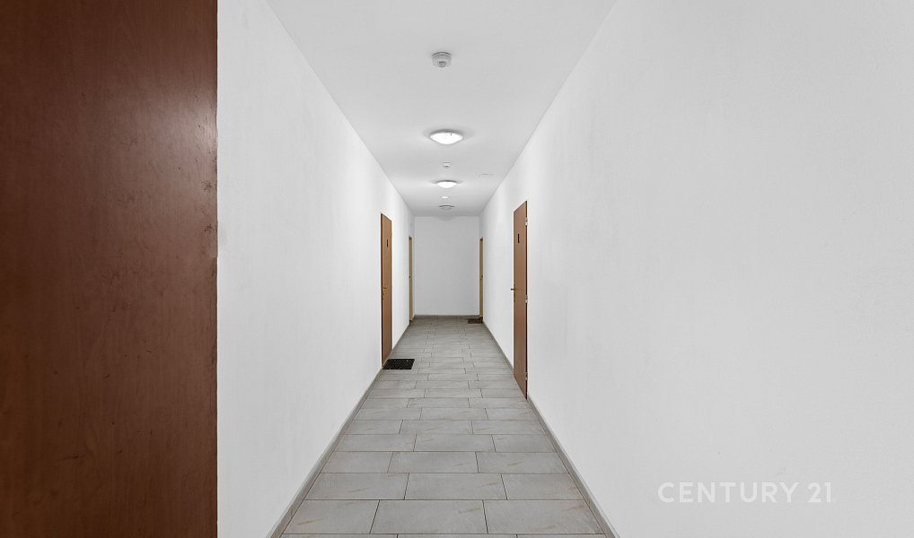 Prodej domu 1 500 m² s pozemkem 718 m², Rosice – náhled fotky 11