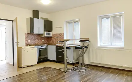 Pronájem bytu 1+kk 32 m², Mostecká, Brno - Husovice