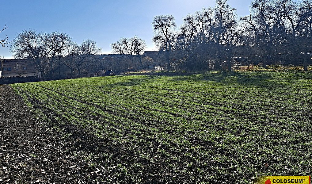 Prodej pole 4 979 m², Štěchov – náhled fotky 11