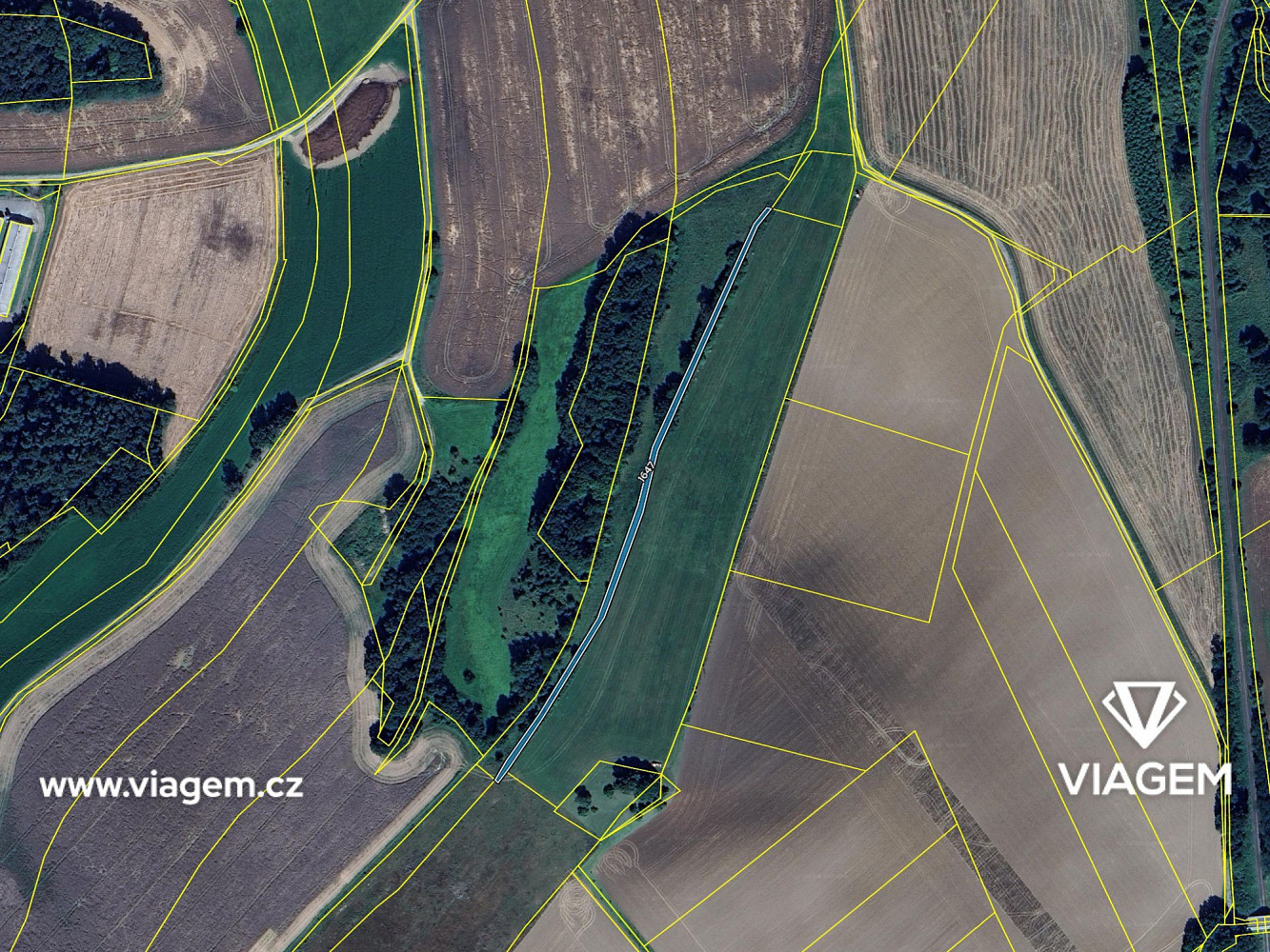 Prodej pole 1 158 m² – fotografie 4