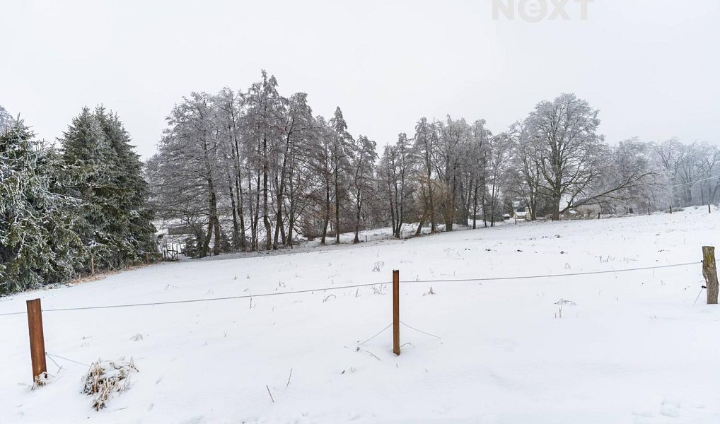 Prodej stavebního pozemku 2 150 m², Moravský Beroun – náhled fotky 9