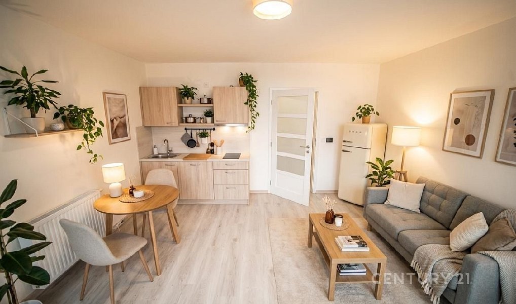 Prodej bytu 1+kk 30 m², Jenišovice – náhled fotky 2