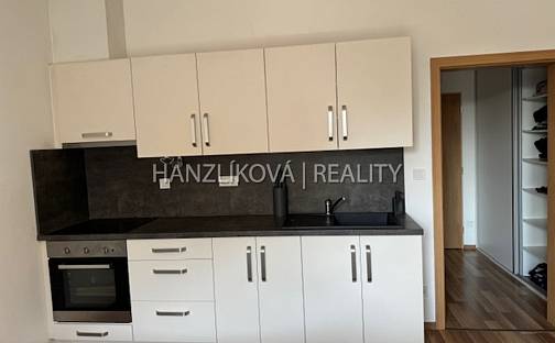 Pronájem bytu 1+kk 28 m², Volejbalistů, České Budějovice - České Budějovice 2