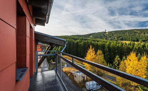 Prodej bytu 3+kk 95 m², Loučná pod Klínovcem - Loučná, okres Chomutov