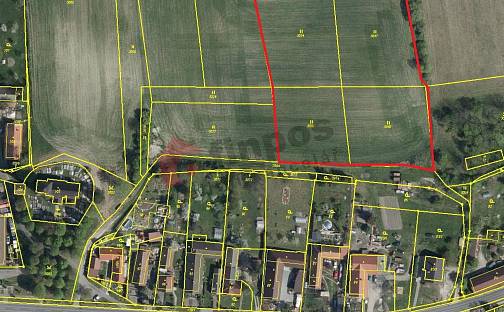Prodej stavebního pozemku 9 546 m², Králova Lhota, okres Rychnov nad Kněžnou