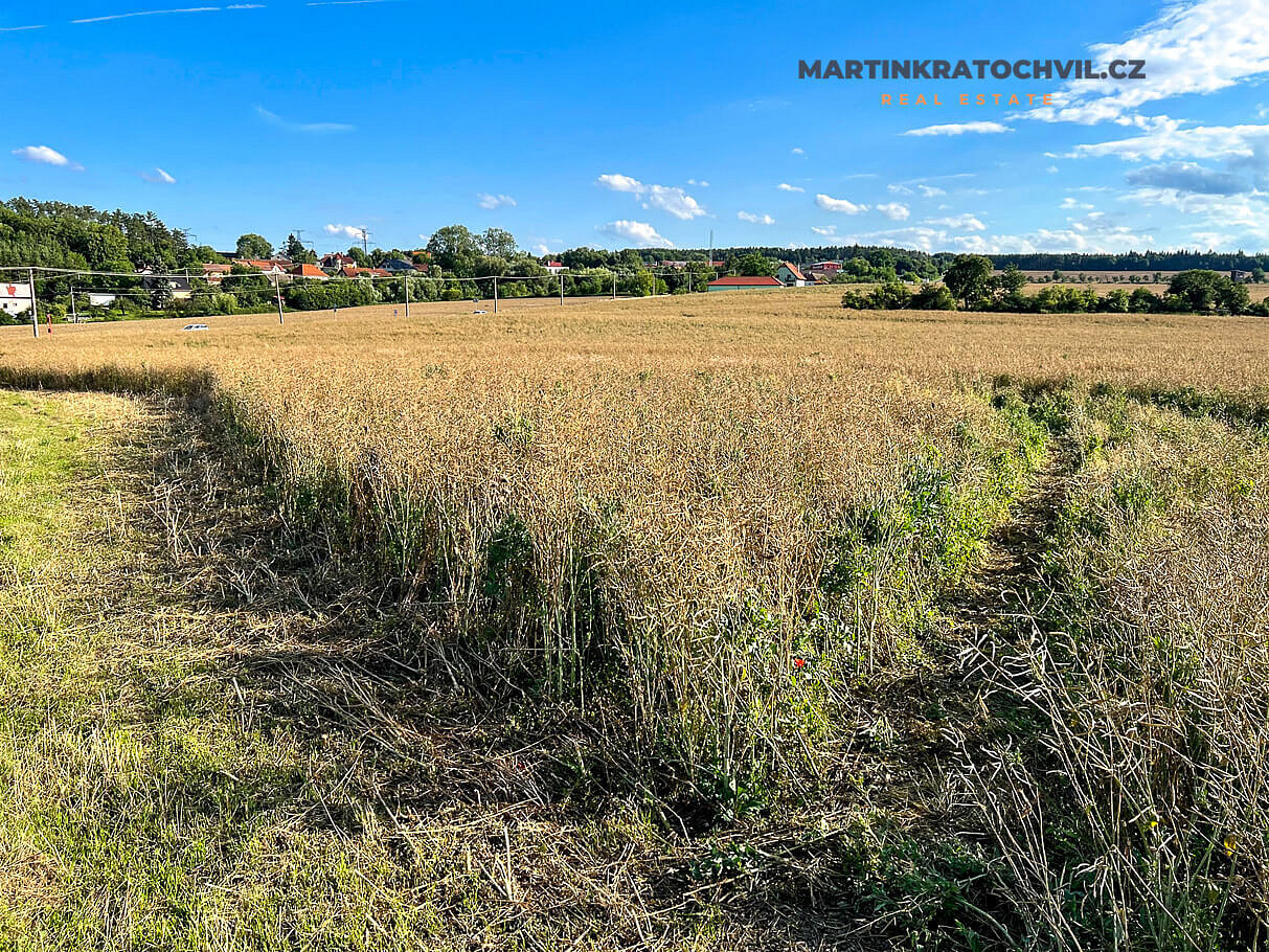 Prodej stavebního pozemku 7 409 m² – fotografie 5
