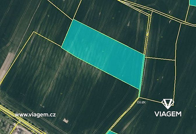 Prodej pole 10 383 m² – fotografie 3