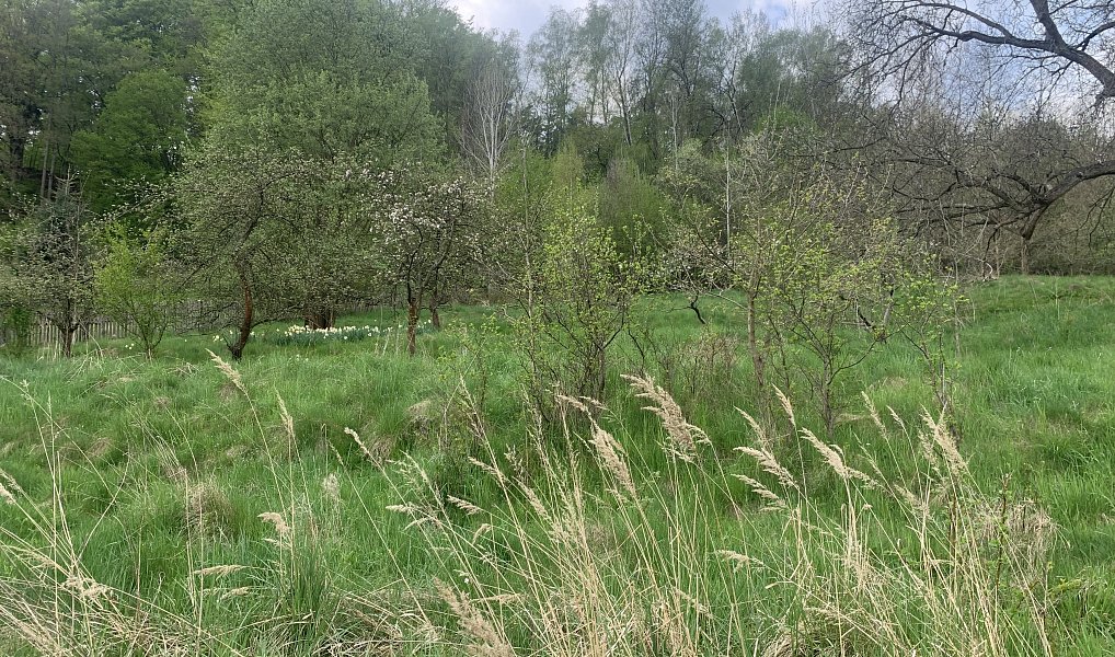 Prodej stavebního pozemku 2 637 m², Děčín – náhled fotky 17