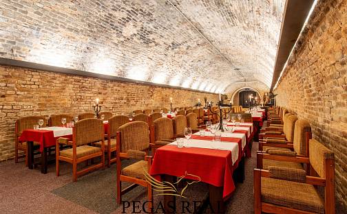 Pronájem restaurace 566 m², Mendlovo náměstí, Brno - Staré Brno