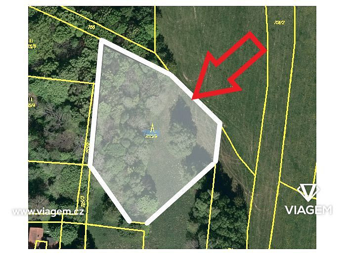 Prodej lesa 1 956 m²