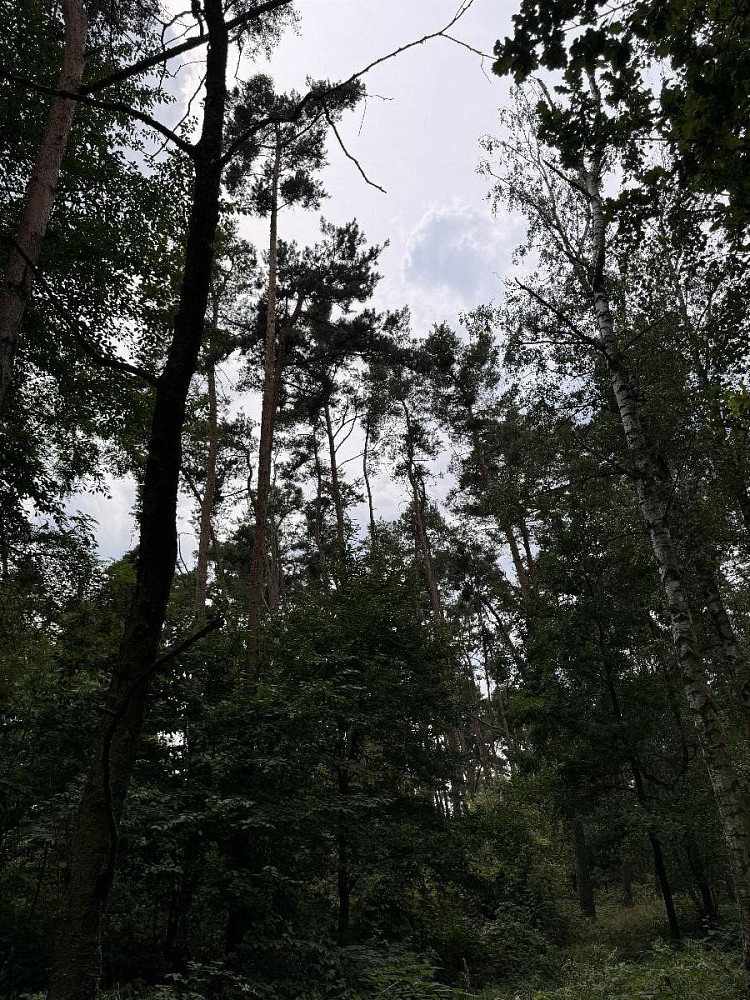 Prodej vodní plochy 604 m² — photo 3