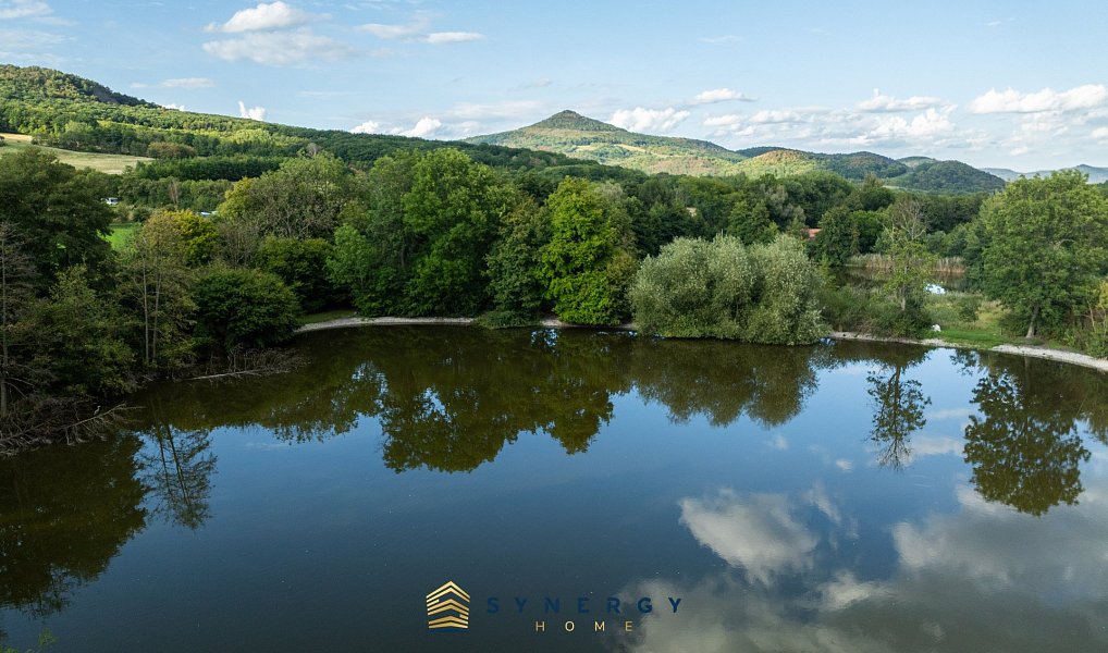 Prodej stavebního pozemku 7 684 m², Velemín – náhled fotky 9