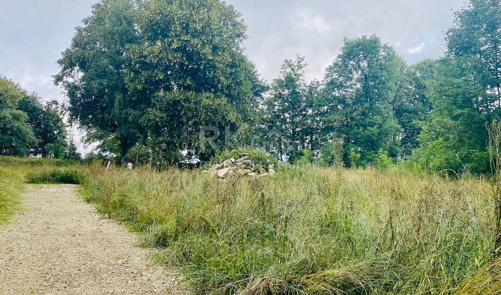 Prodej stavebního pozemku 2 552 m², Mnichov – náhled fotky 4