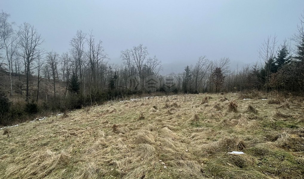 Prodej lesa 33 054 m², Košťálov – náhled fotky 5