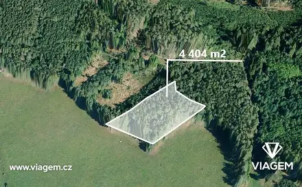 Prodej lesa 978 m², Čestice, okres Strakonice