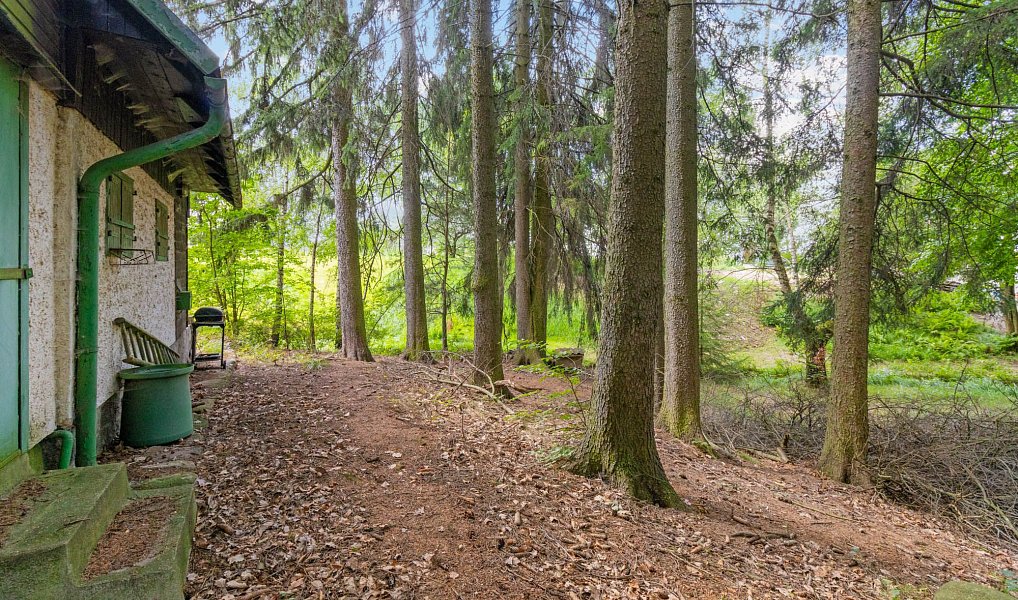 Prodej chaty/chalupy 90 m² s pozemkem 1 037 m², Svojetice – náhled fotky 10
