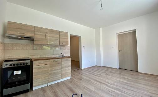 Pronájem bytu 1+1 30 m², Riegrova, Nový Bor, okres Česká Lípa