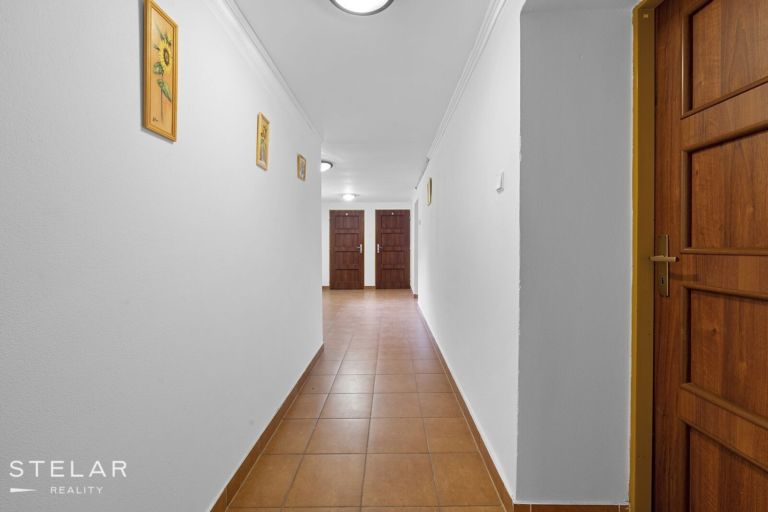 Prodej domu 442 m² s pozemkem 750 m² – fotografie 5