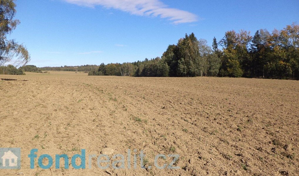 Prodej pozemku 4 992 m², Studená – náhled fotky 11