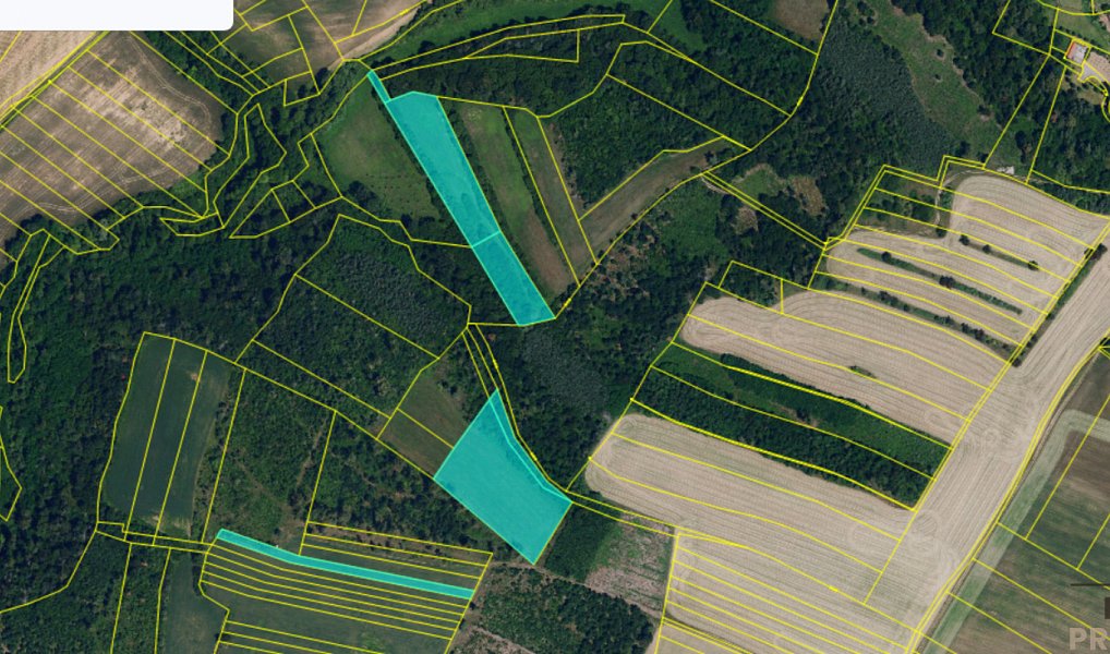 Prodej pole 15 454 m², Černín – náhled fotky 2